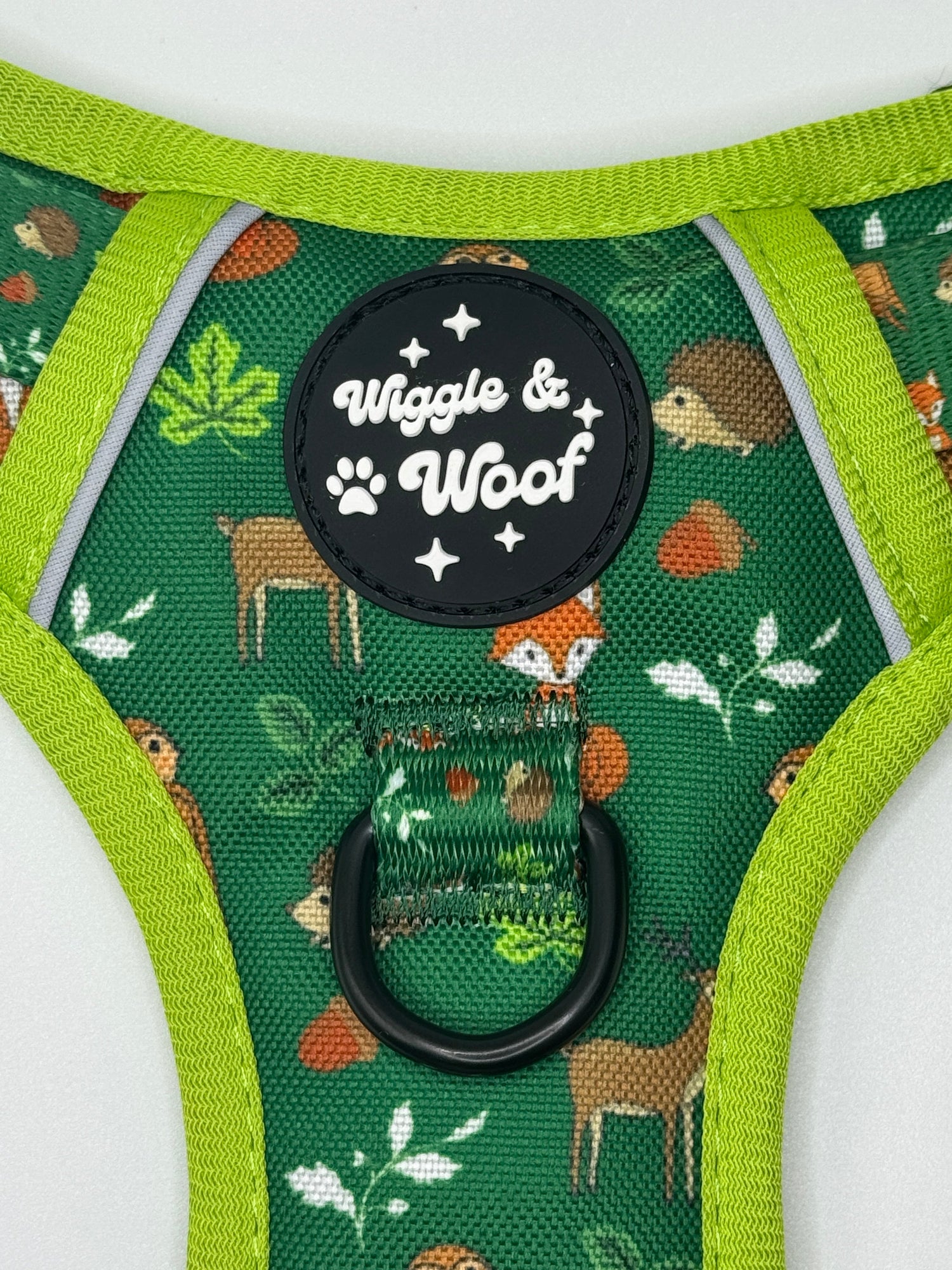 Woodland Wander