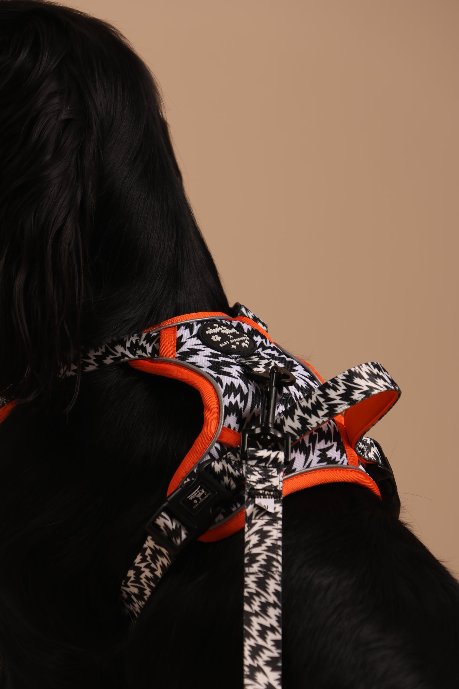 Wiggle & Woof x Eley Kishimoto Flash 3-clip Adjustable Harness