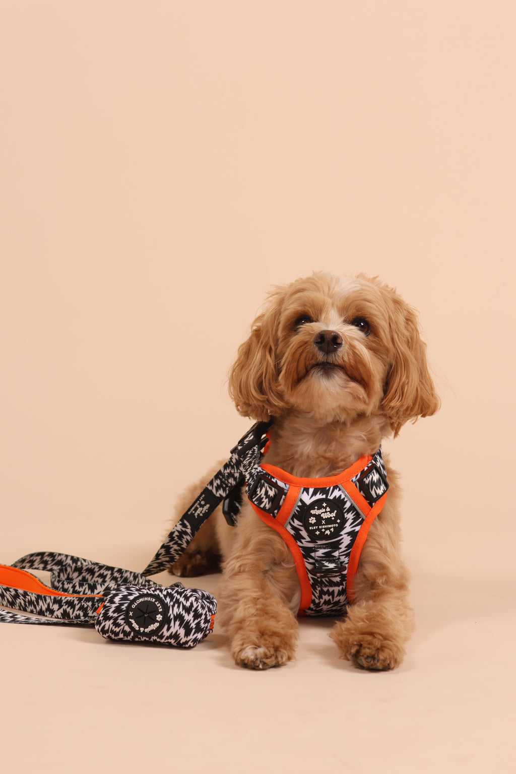 Wiggle & Woof x Eley Kishimoto Flash Poop Bag Holder