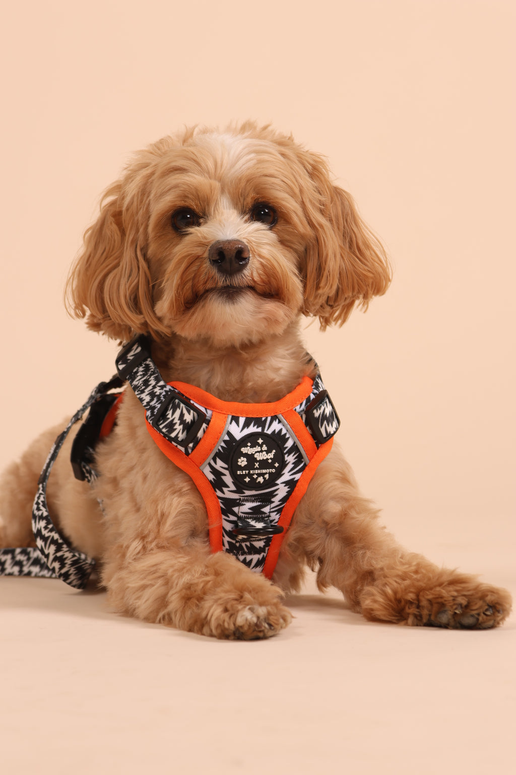 Wiggle & Woof x Eley Kishimoto Flash 3-clip Adjustable Harness