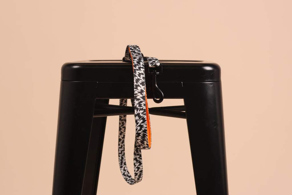 Wiggle & Woof x Eley Kishimoto Flash Dog Lead