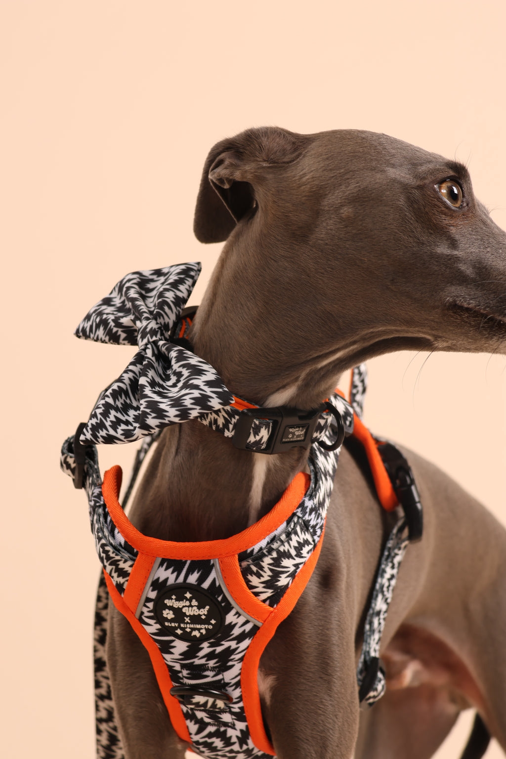 Wiggle & Woof x Eley Kishimoto Flash Adjustable Dog Collar