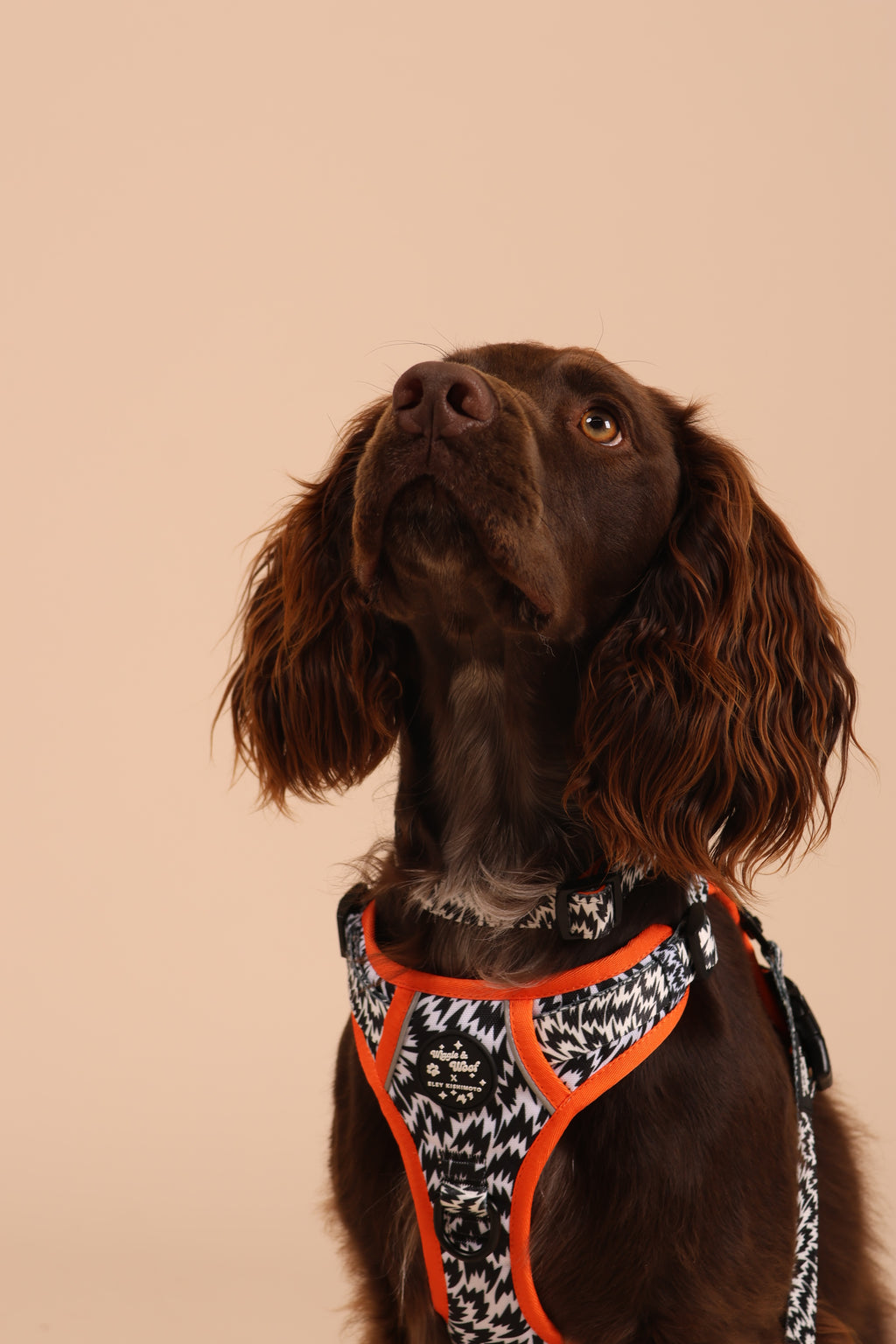 Wiggle & Woof x Eley Kishimoto Flash 3-clip Adjustable Harness
