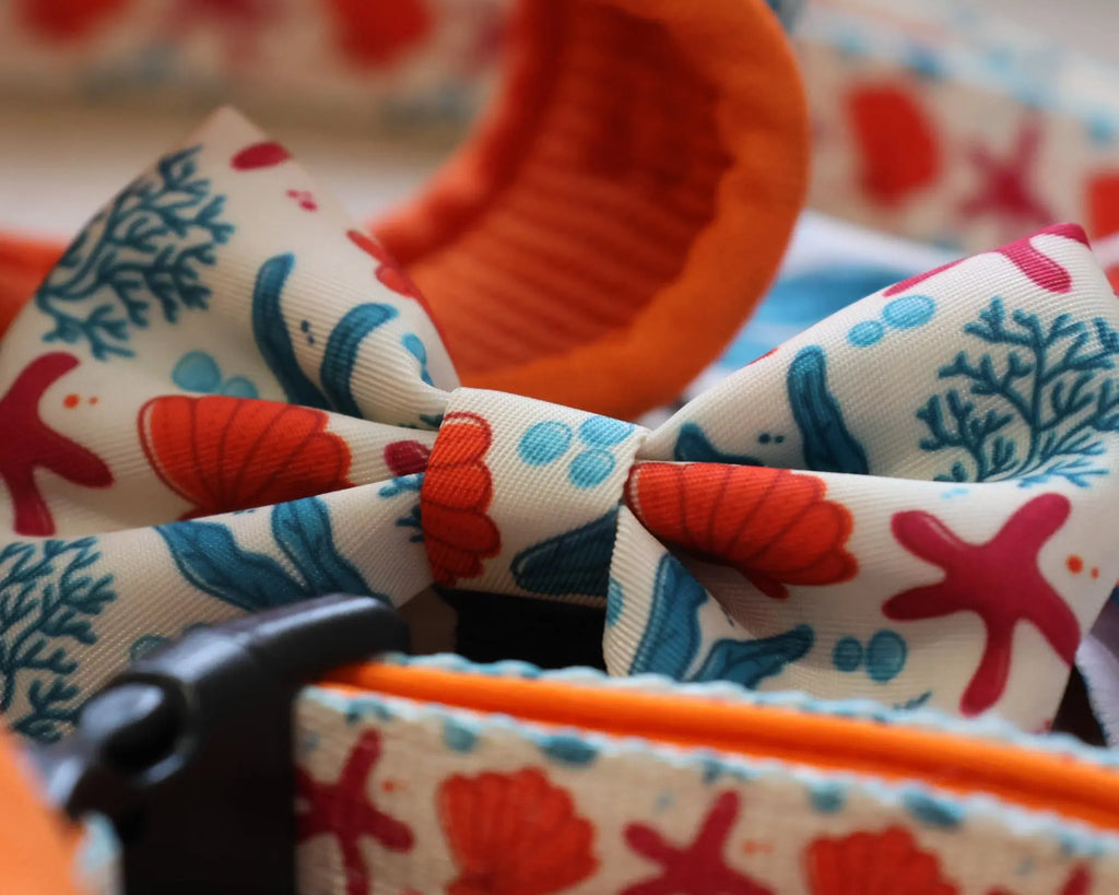 Coral collection bow