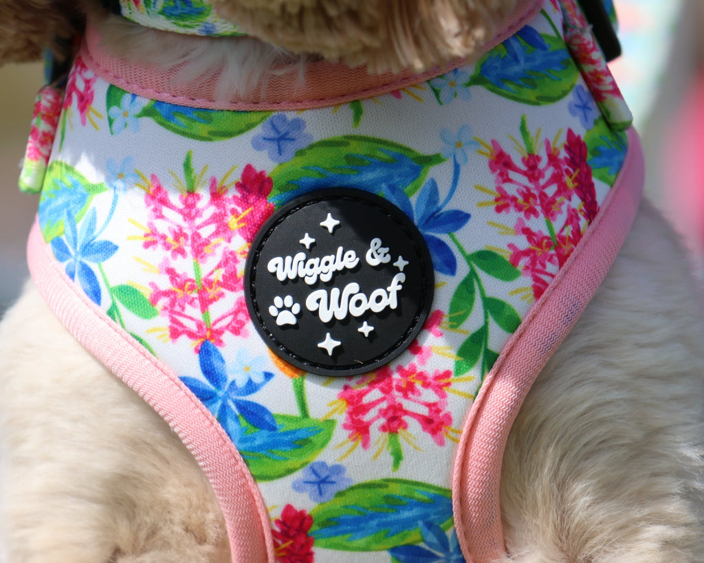Meadow Muse Adjustable Neck Dog Harness - Wiggle & Woof