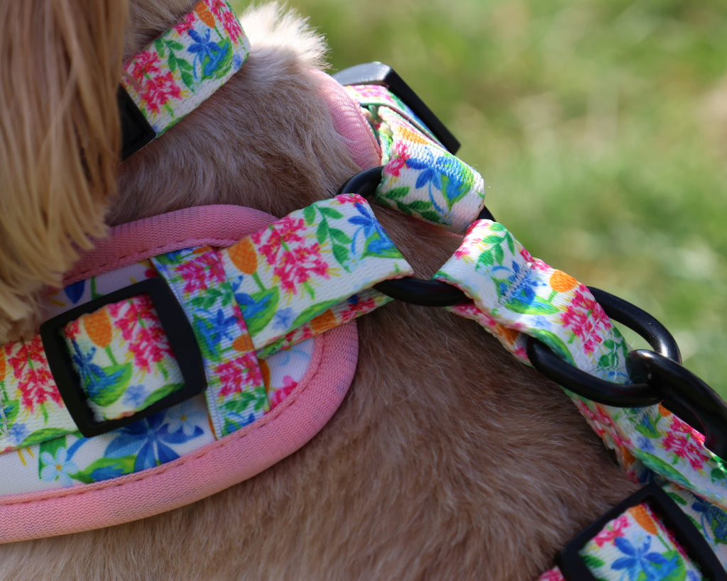 Meadow Muse Adjustable Neck Dog Harness - Wiggle & Woof