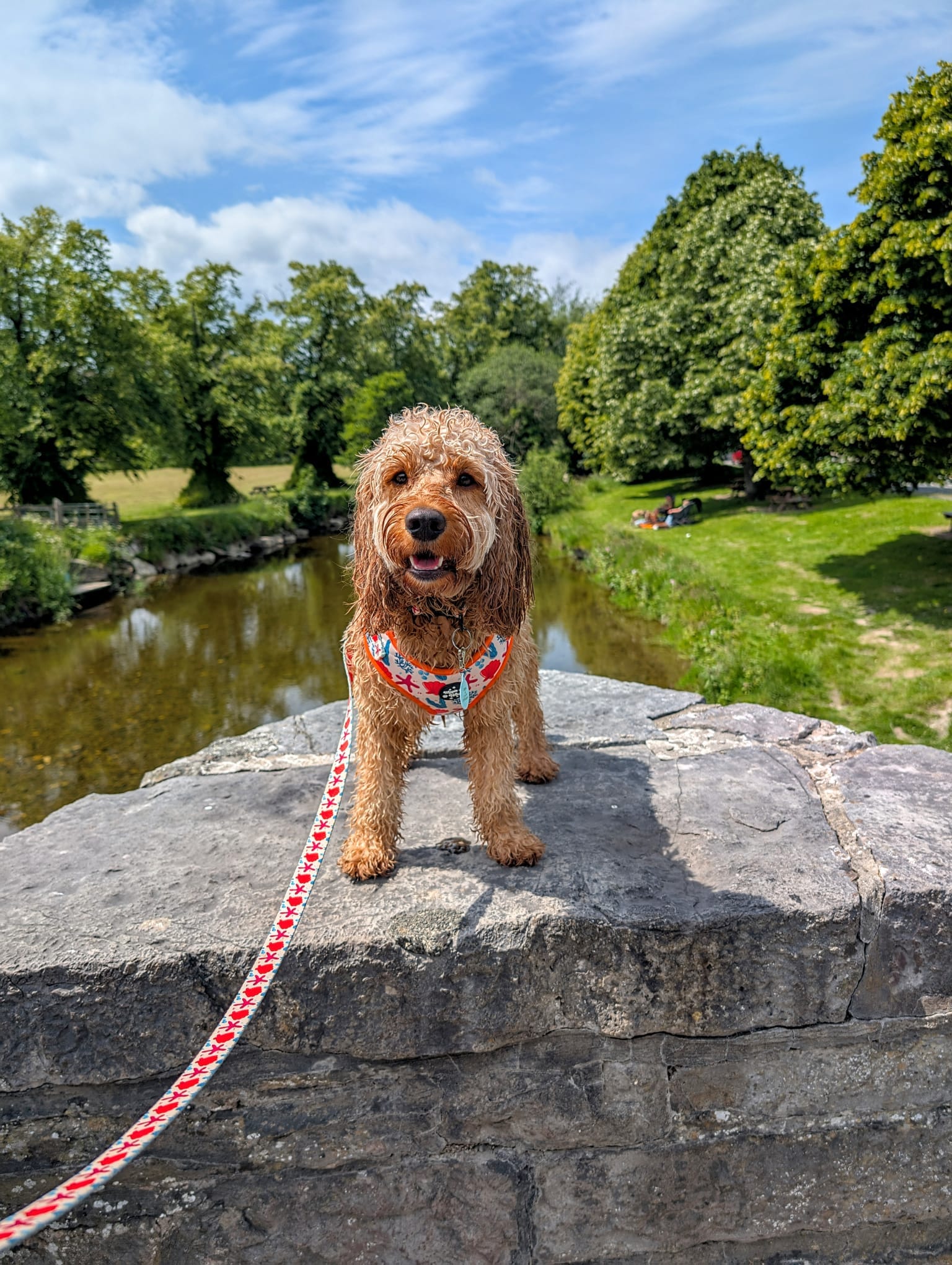 Coral Collection Full Set Bundle