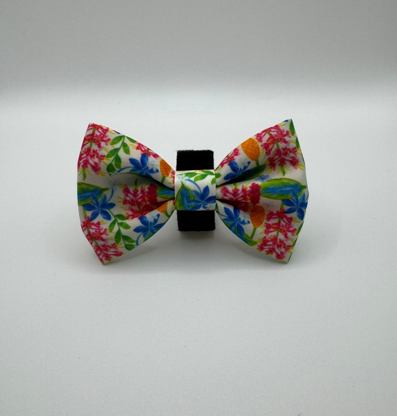 Meadow Muse Dog Bow Tie - Wiggle & Woof