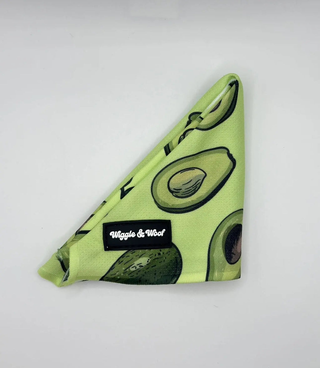 Avocado Crush Dog Cooling Bandana - Wiggle & Woof
