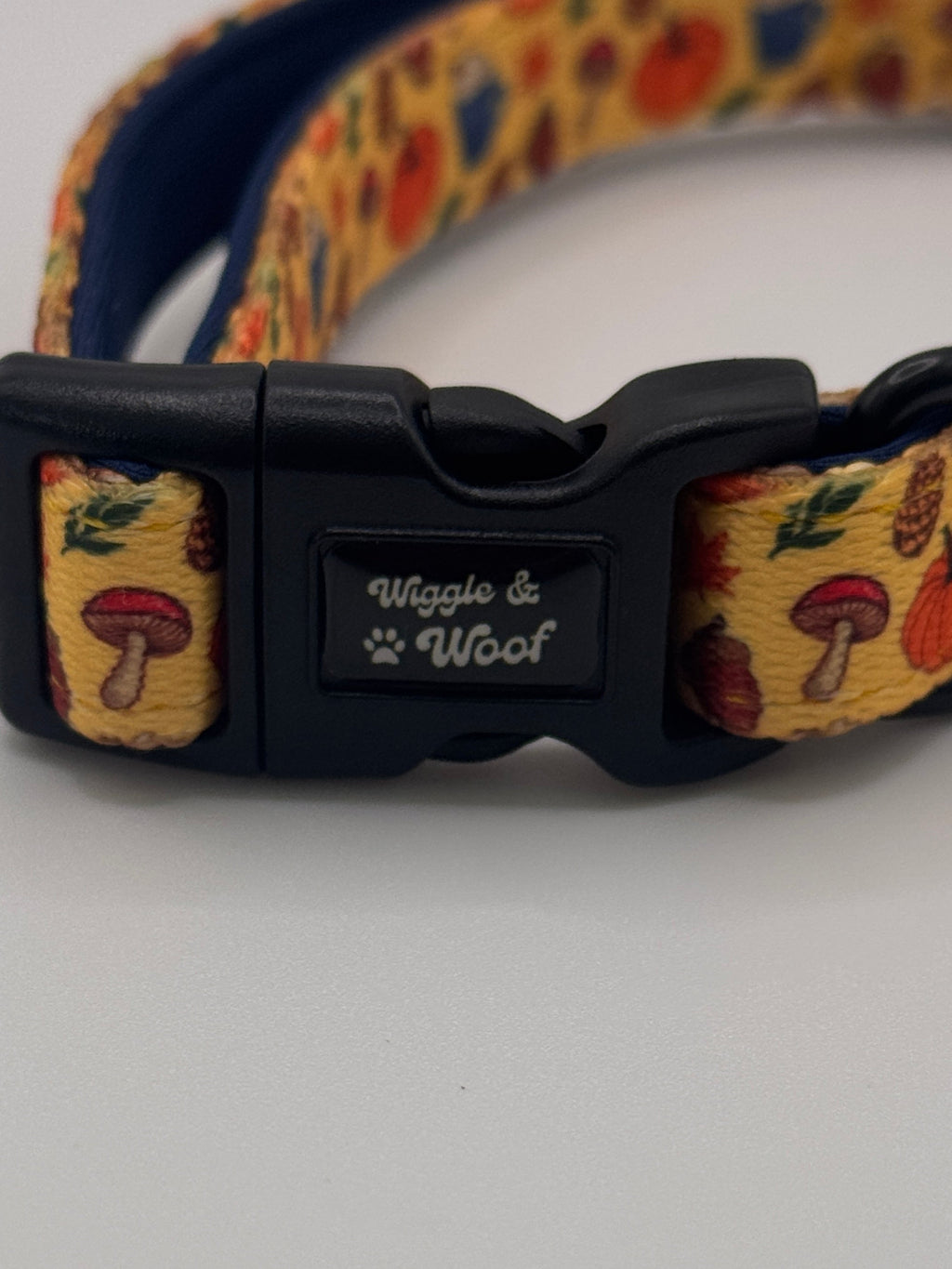 Autumn Orchard Adjustable Dog Collar